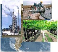 CALIDAD Y MEDIO AMBIENTE